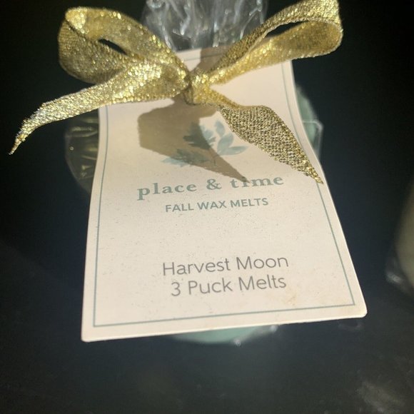 Place & Time FALL Wax Melts Lot Bourbon Buttercream Harvest Moon 6 Pucks - Picture 3 of 6